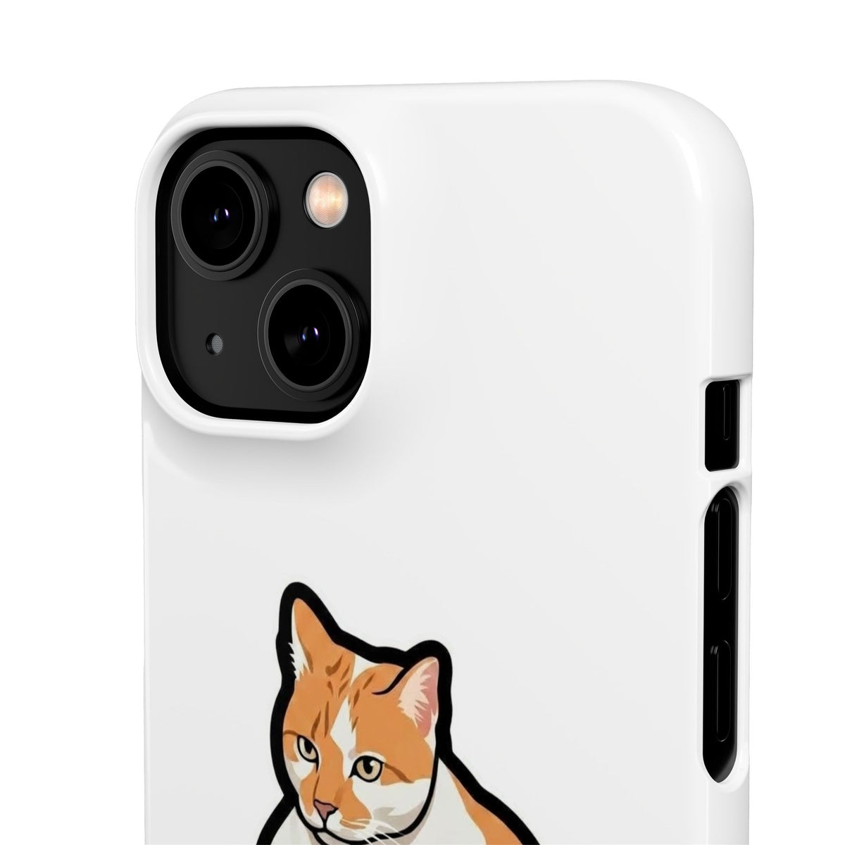 Snap Cases