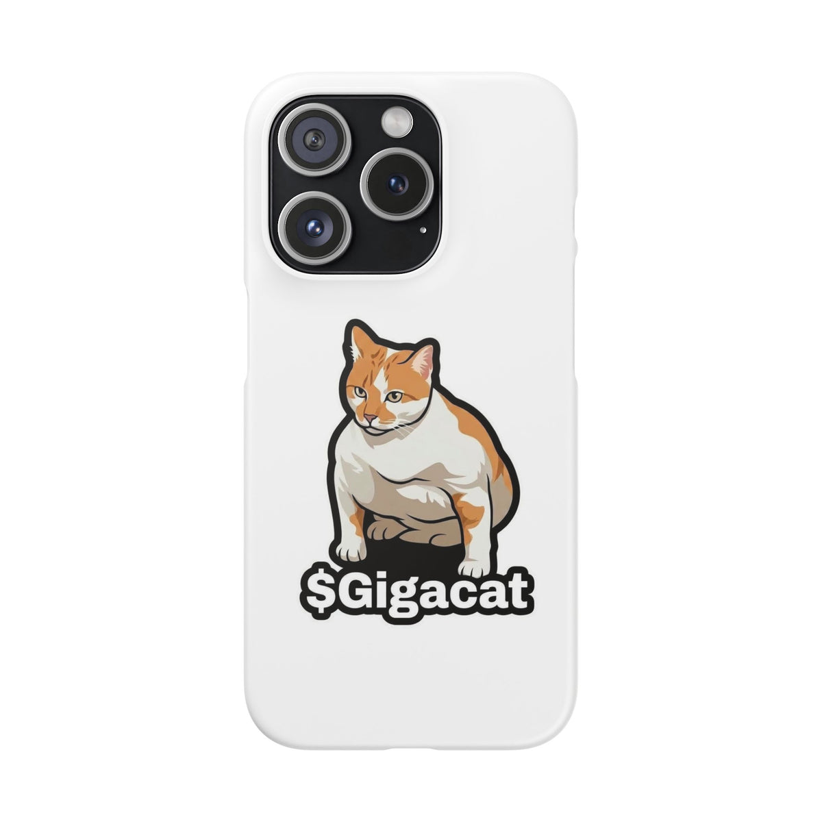 Snap Cases