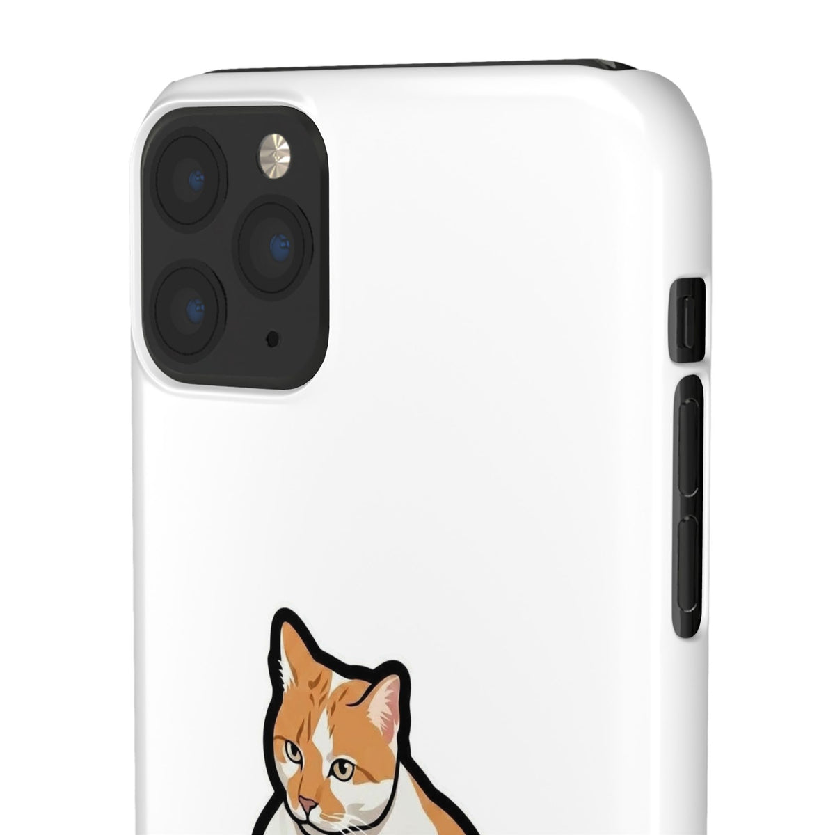 Snap Cases