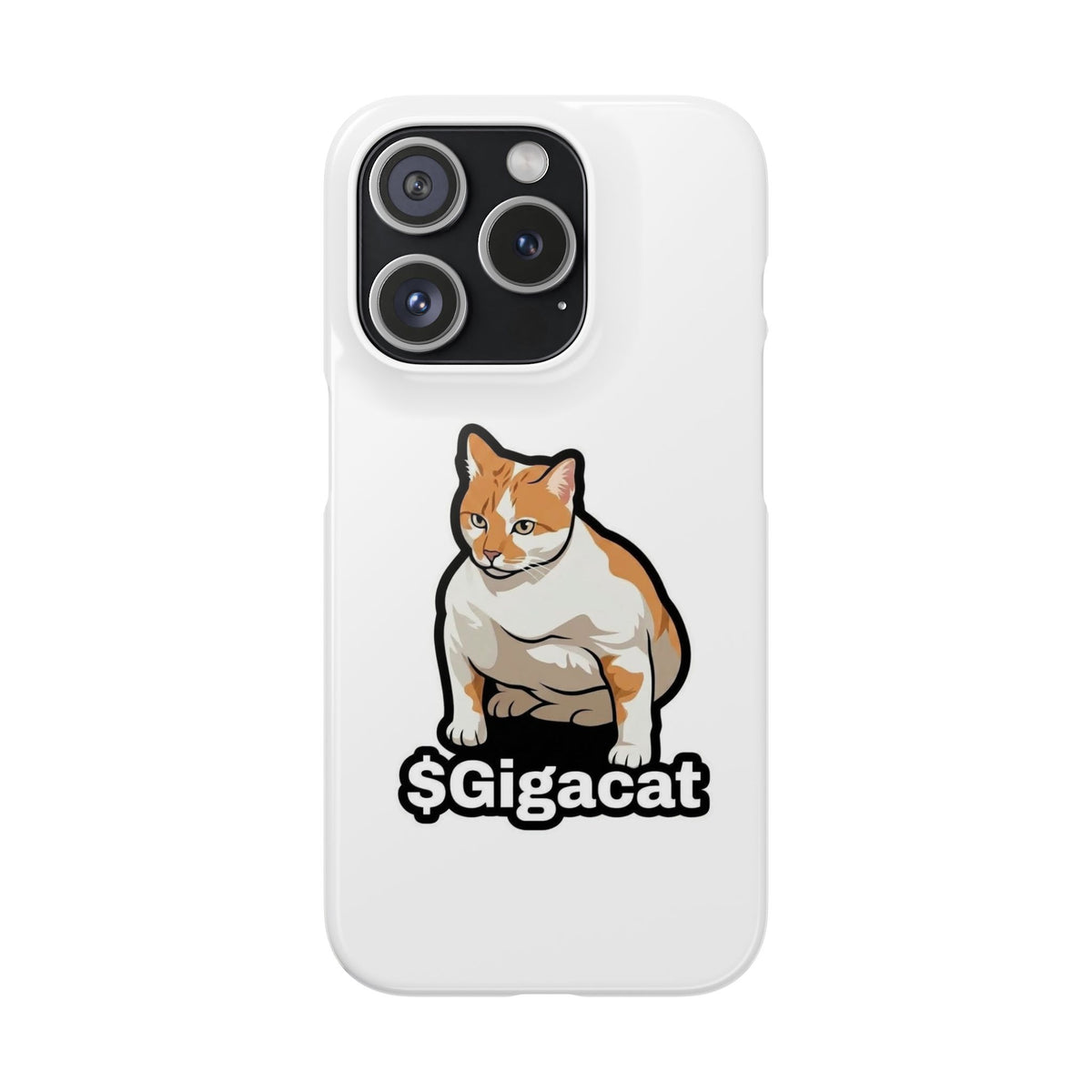 Snap Cases
