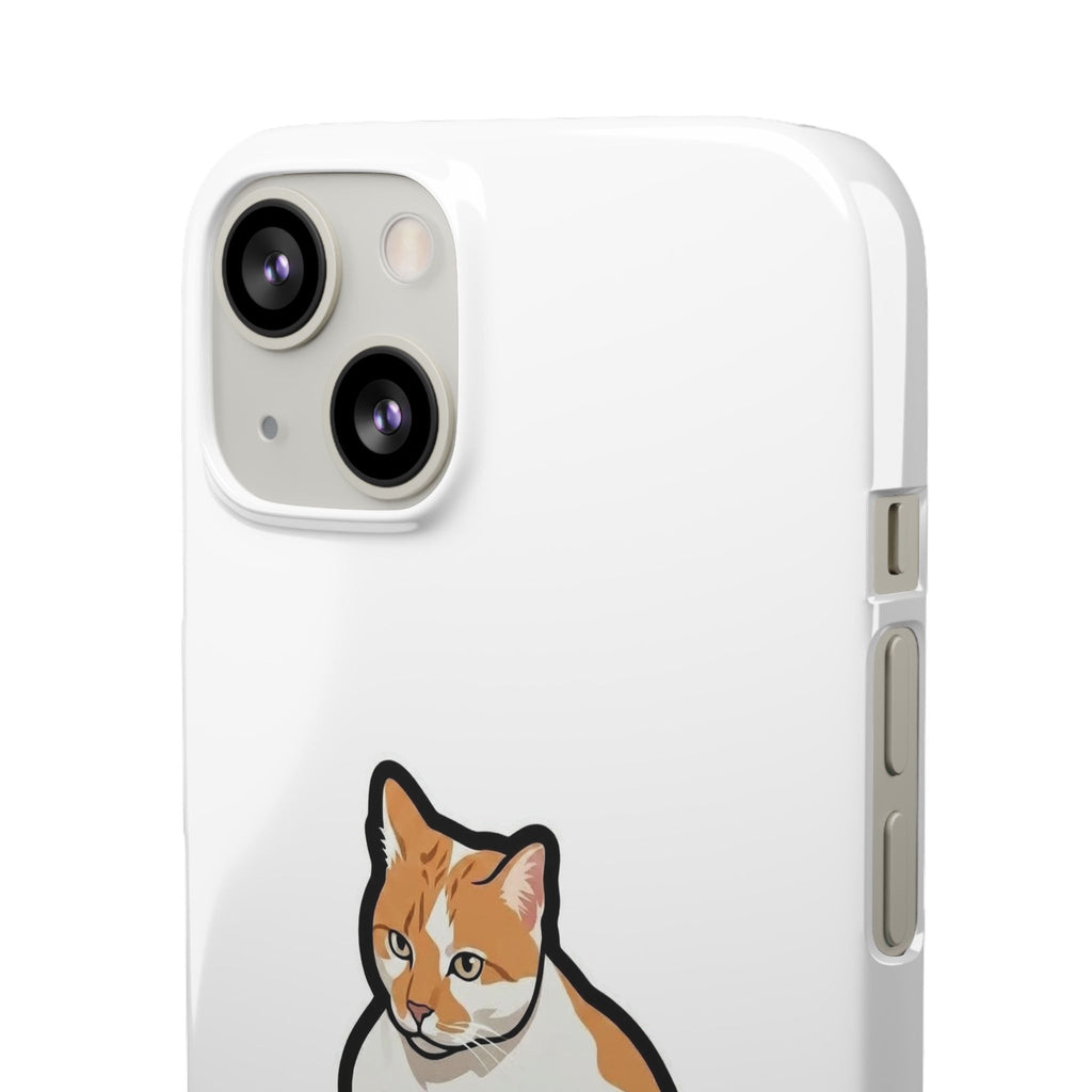 Snap Cases