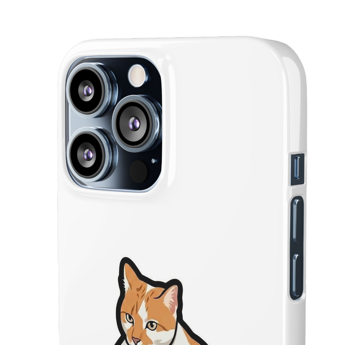 Snap Cases