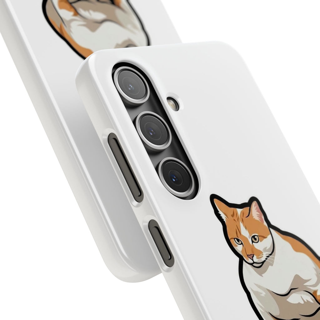 Snap Cases