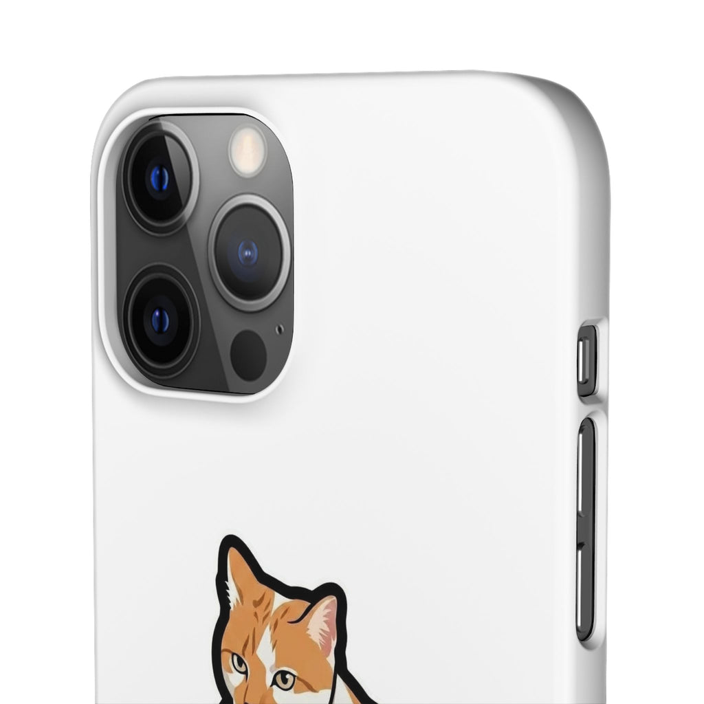 Snap Cases