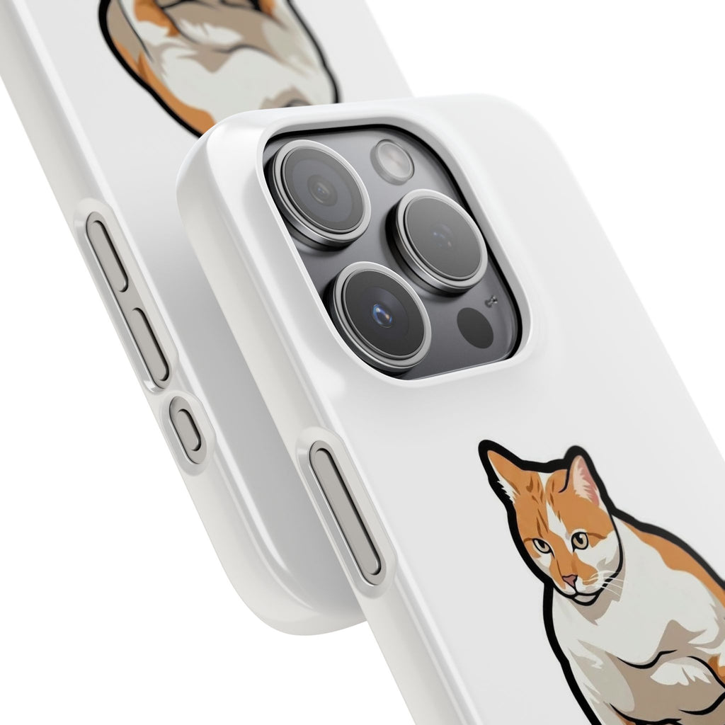 Snap Cases