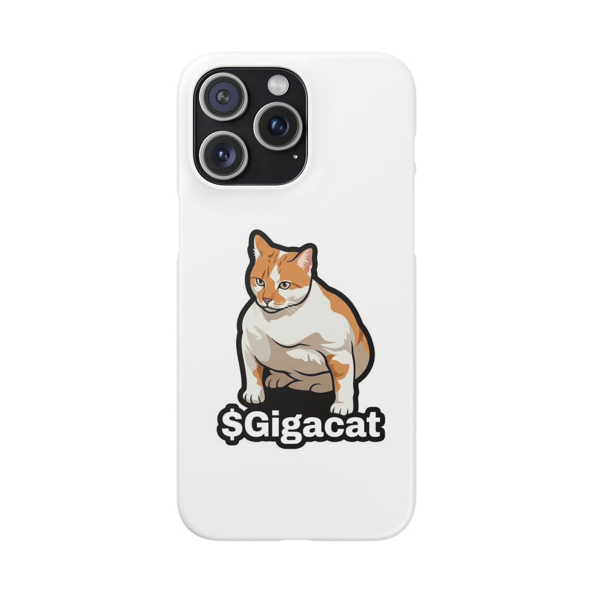 Snap Cases
