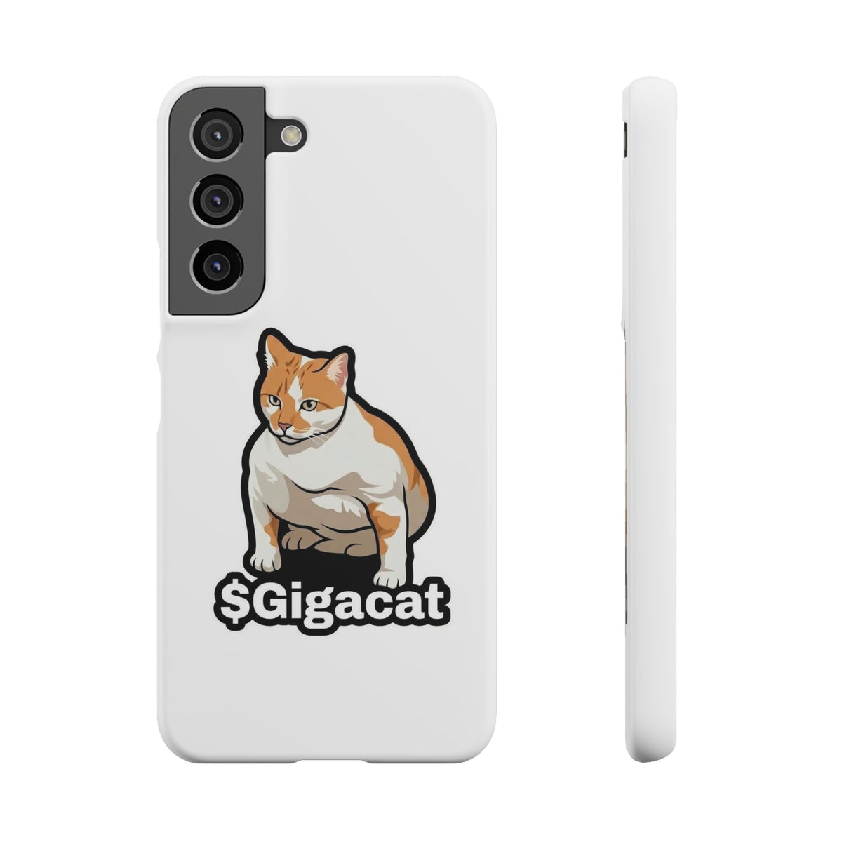Snap Cases