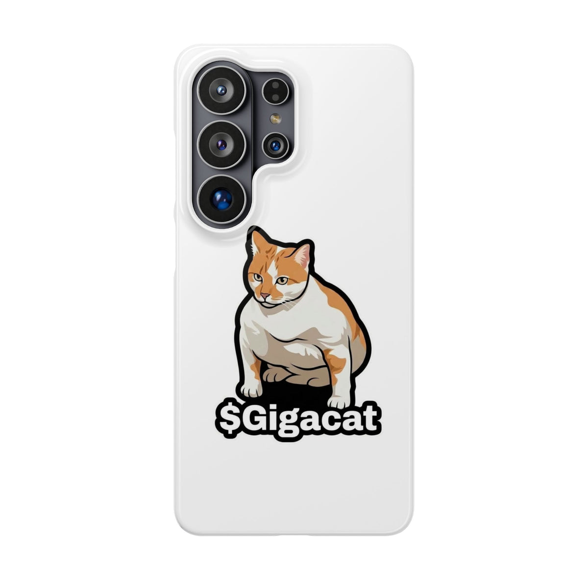 Snap Cases