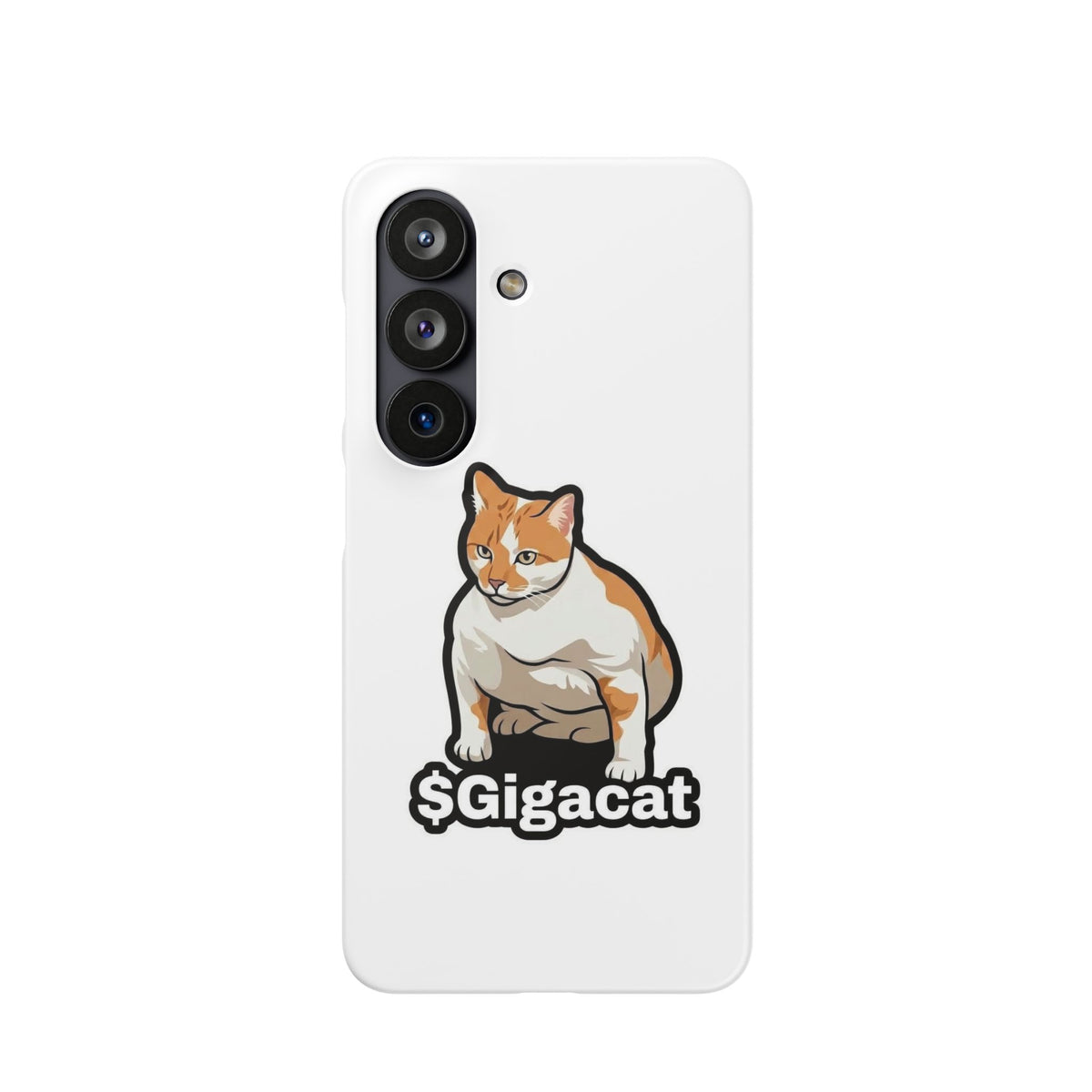 Snap Cases