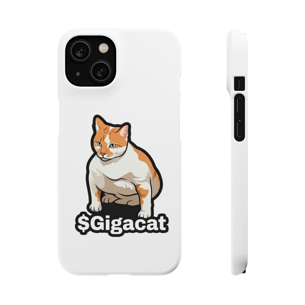 Snap Cases