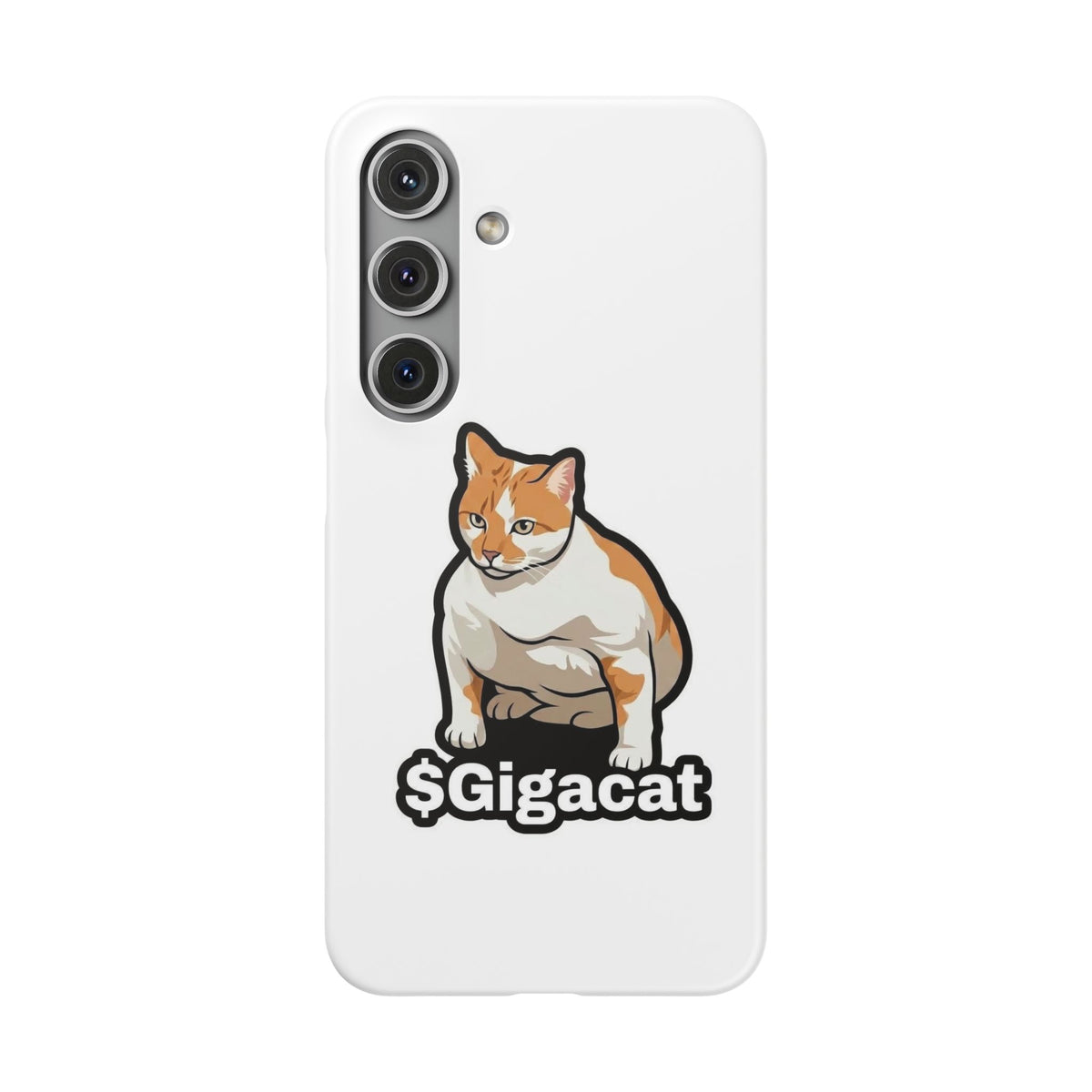 Snap Cases