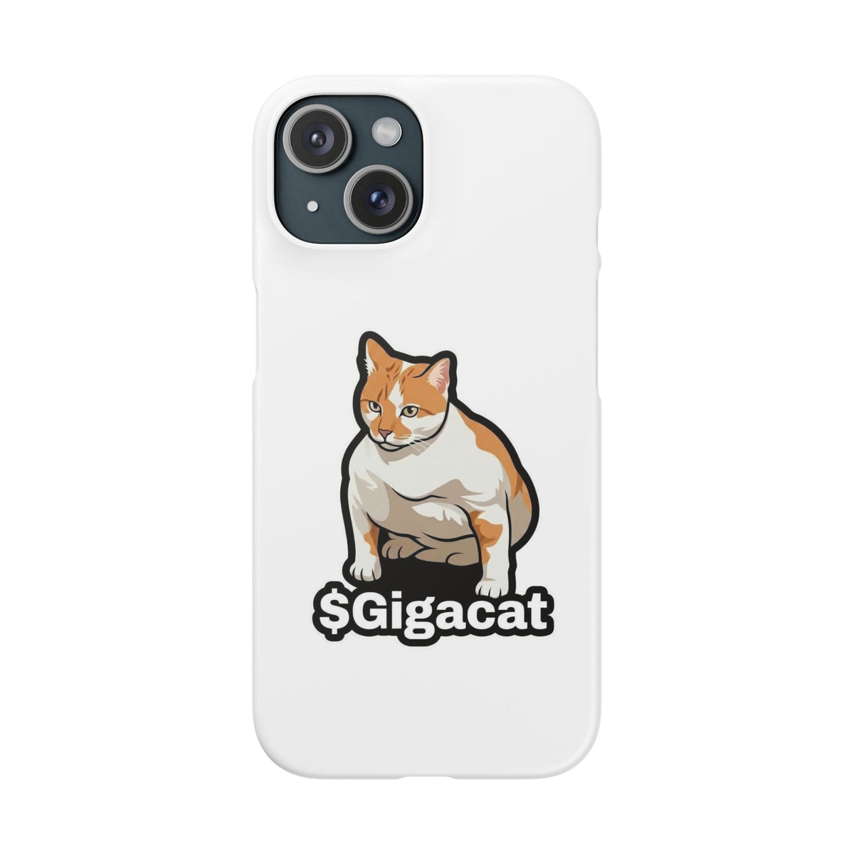 Snap Cases