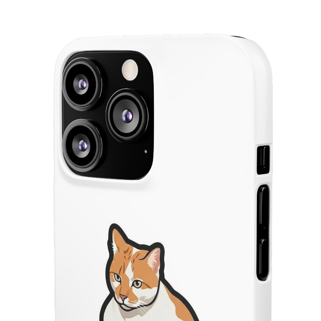 Snap Cases