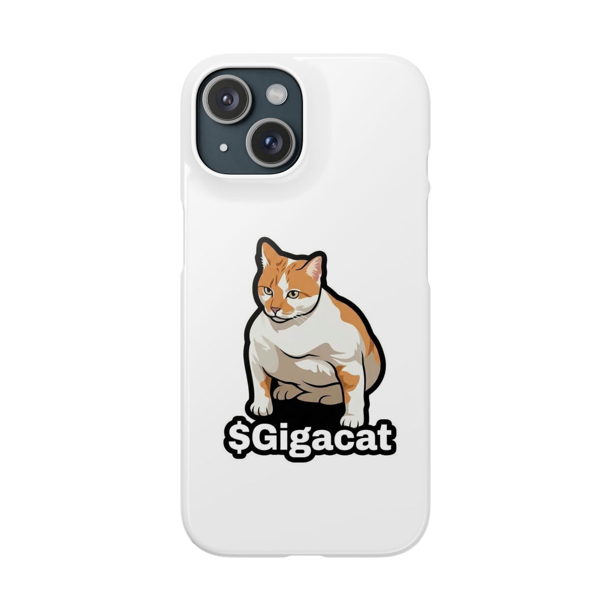 Snap Cases