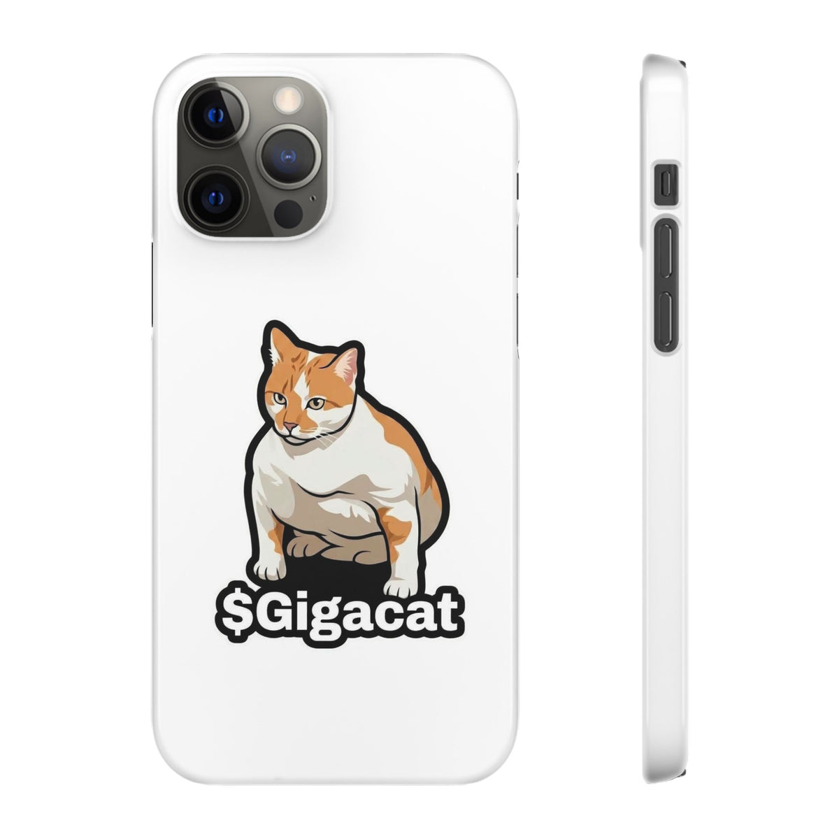 Snap Cases
