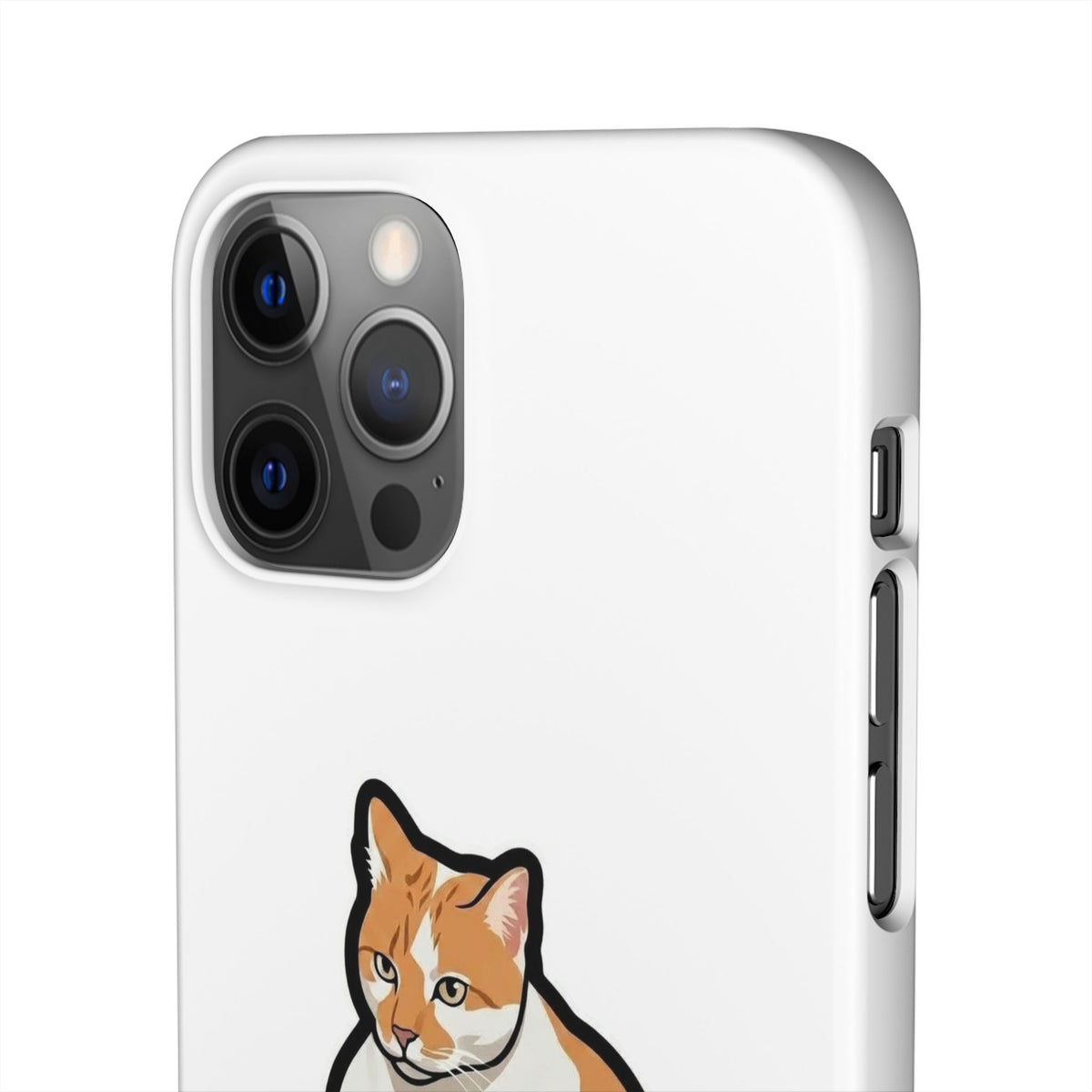 Snap Cases