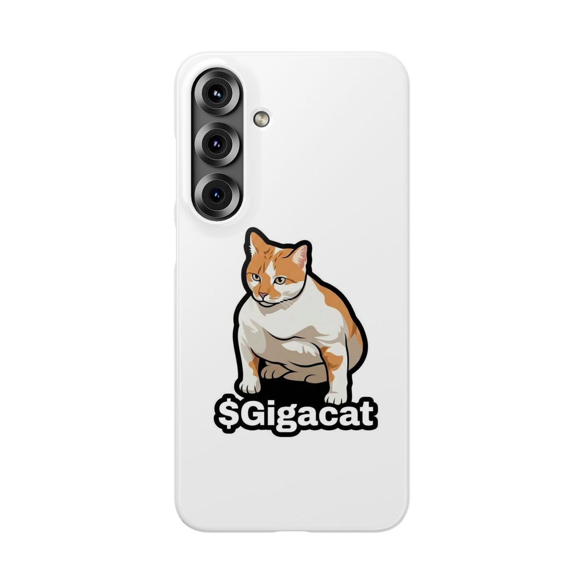 Snap Cases