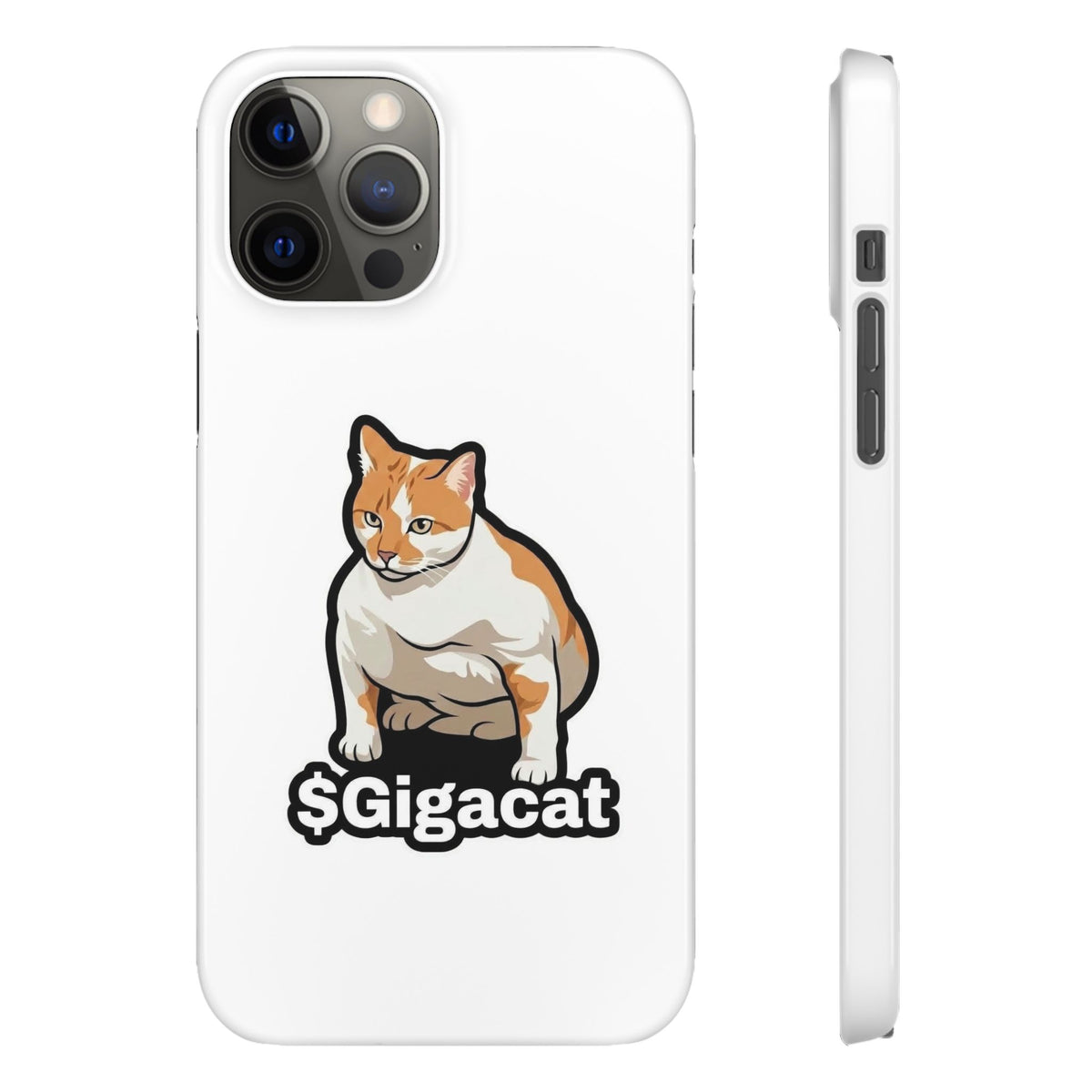 Snap Cases