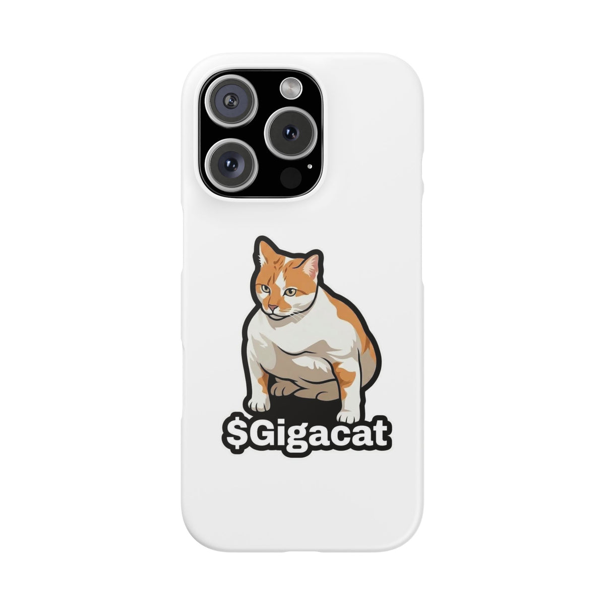 Snap Cases
