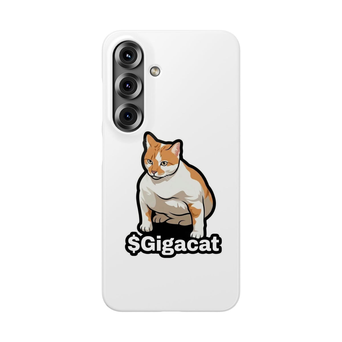 Snap Cases