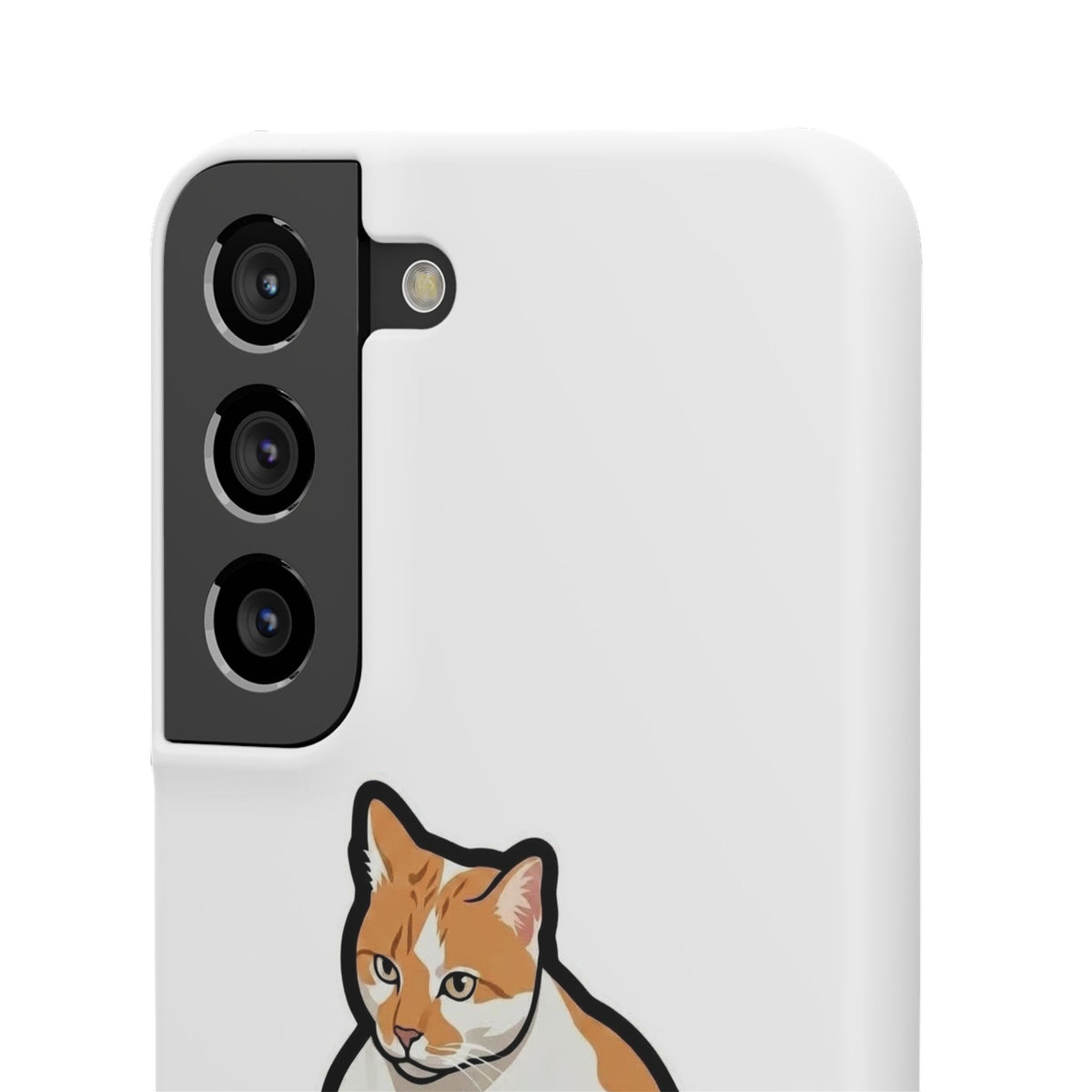 Snap Cases