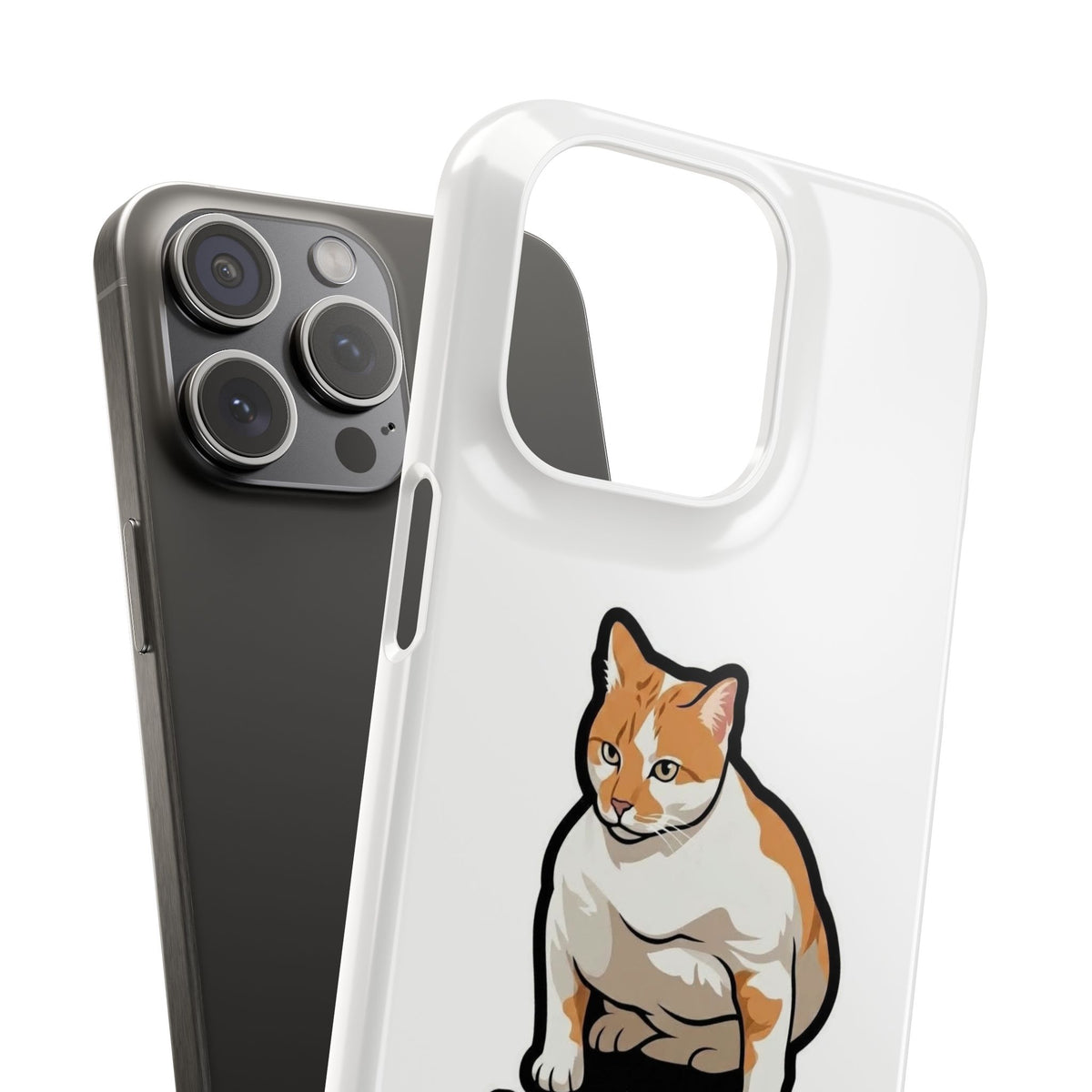 Snap Cases