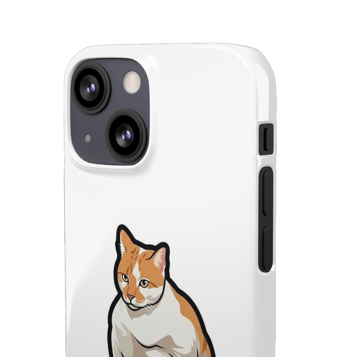 Snap Cases