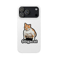 Snap Cases