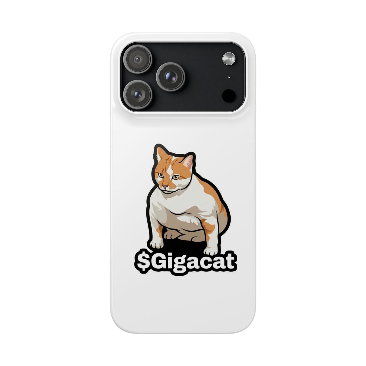 Snap Cases