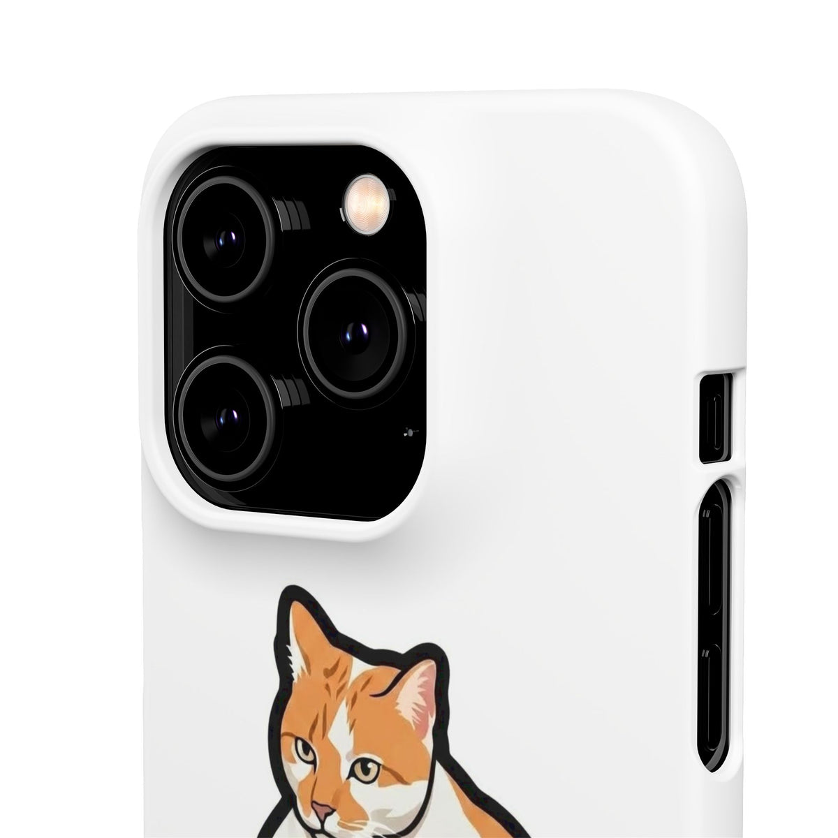 Snap Cases