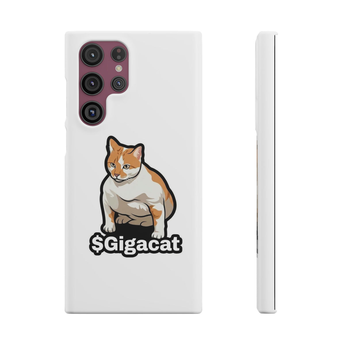 Snap Cases