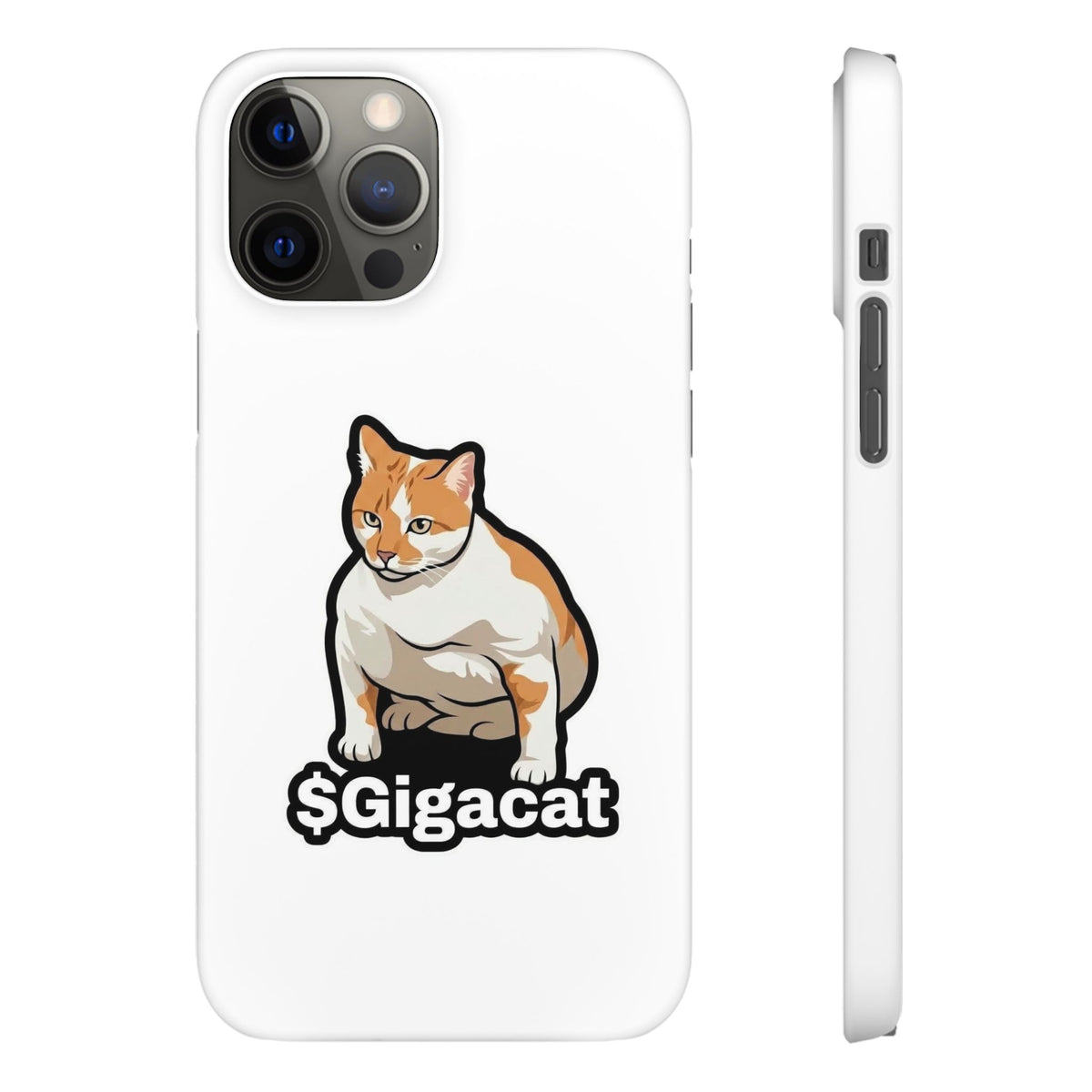 Snap Cases