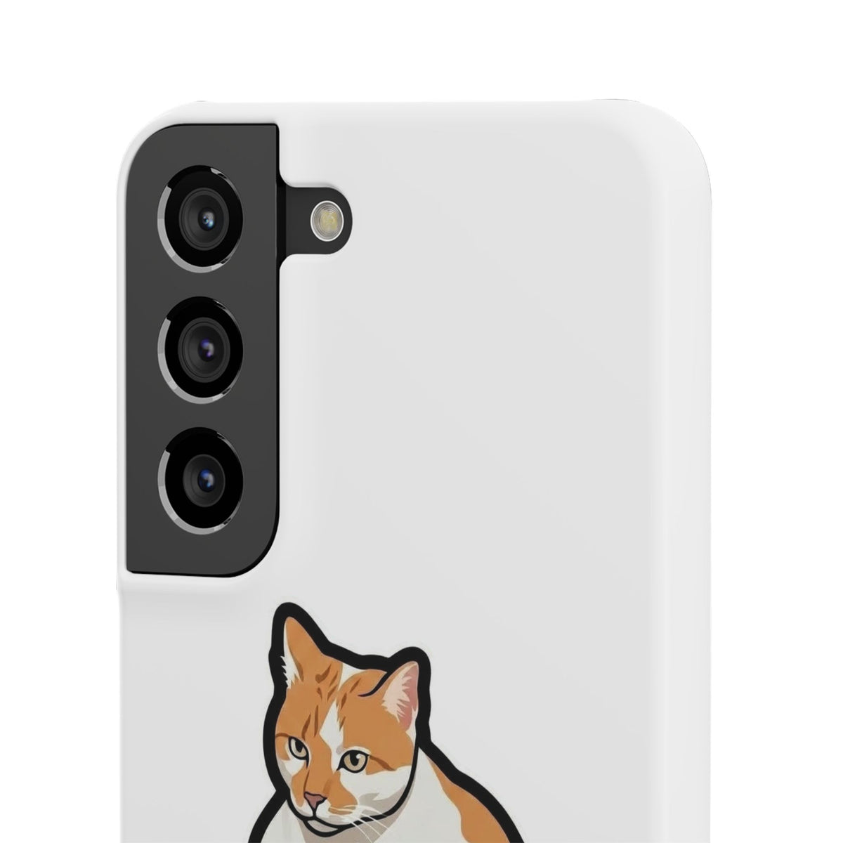 Snap Cases