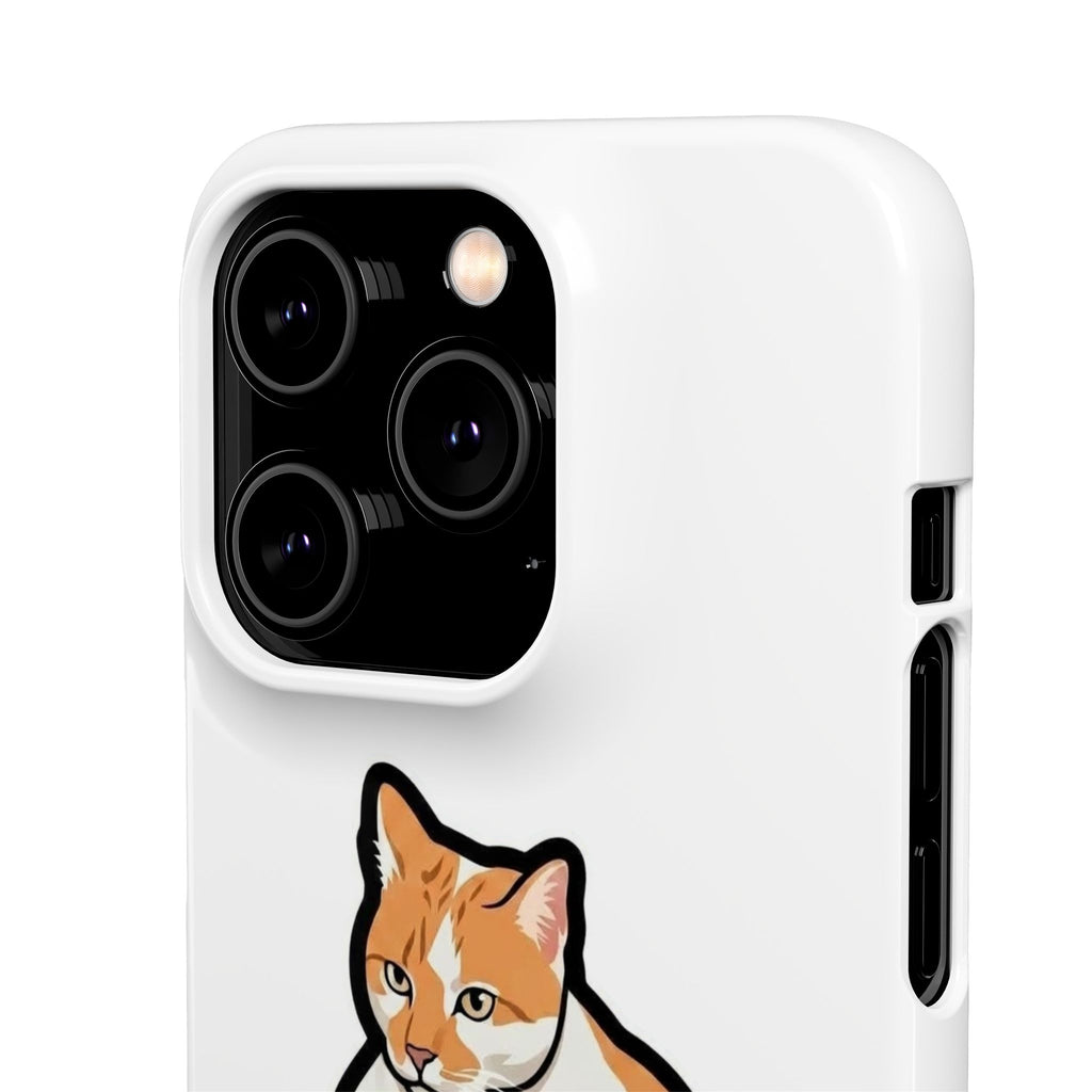 Snap Cases