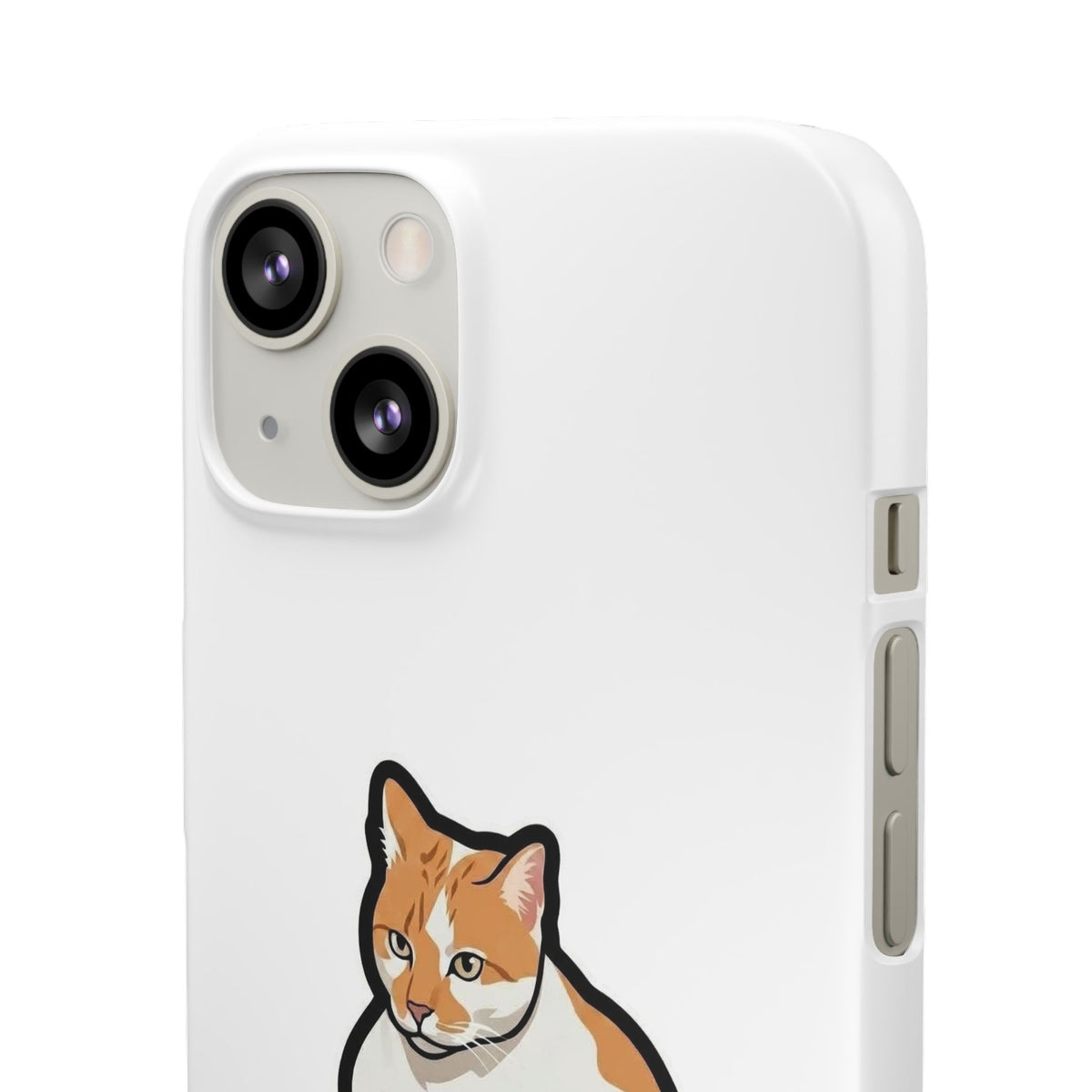 Snap Cases