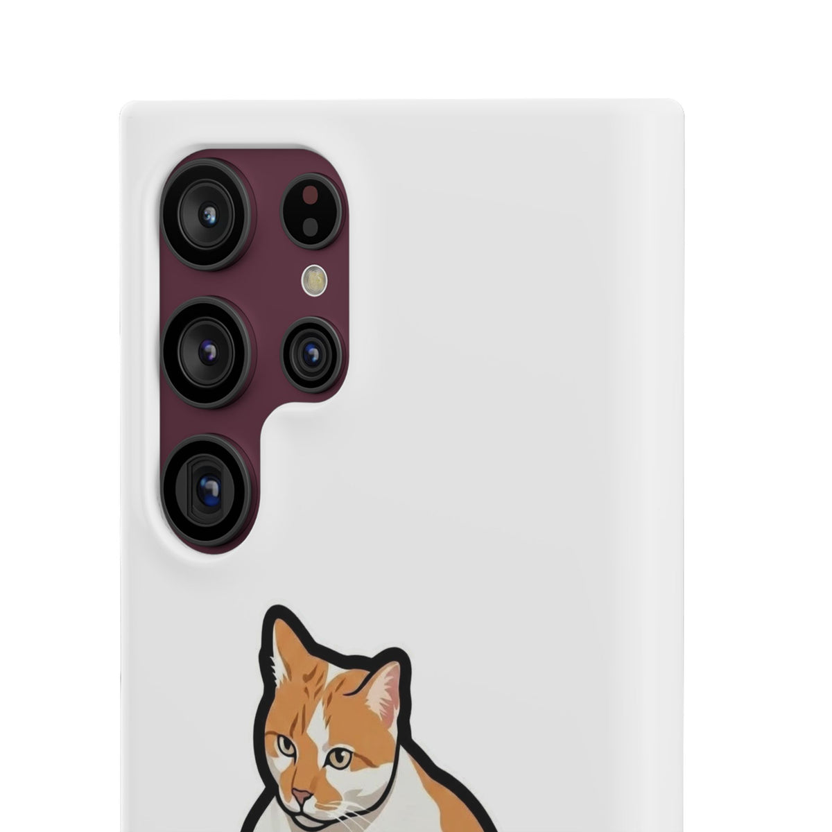 Snap Cases