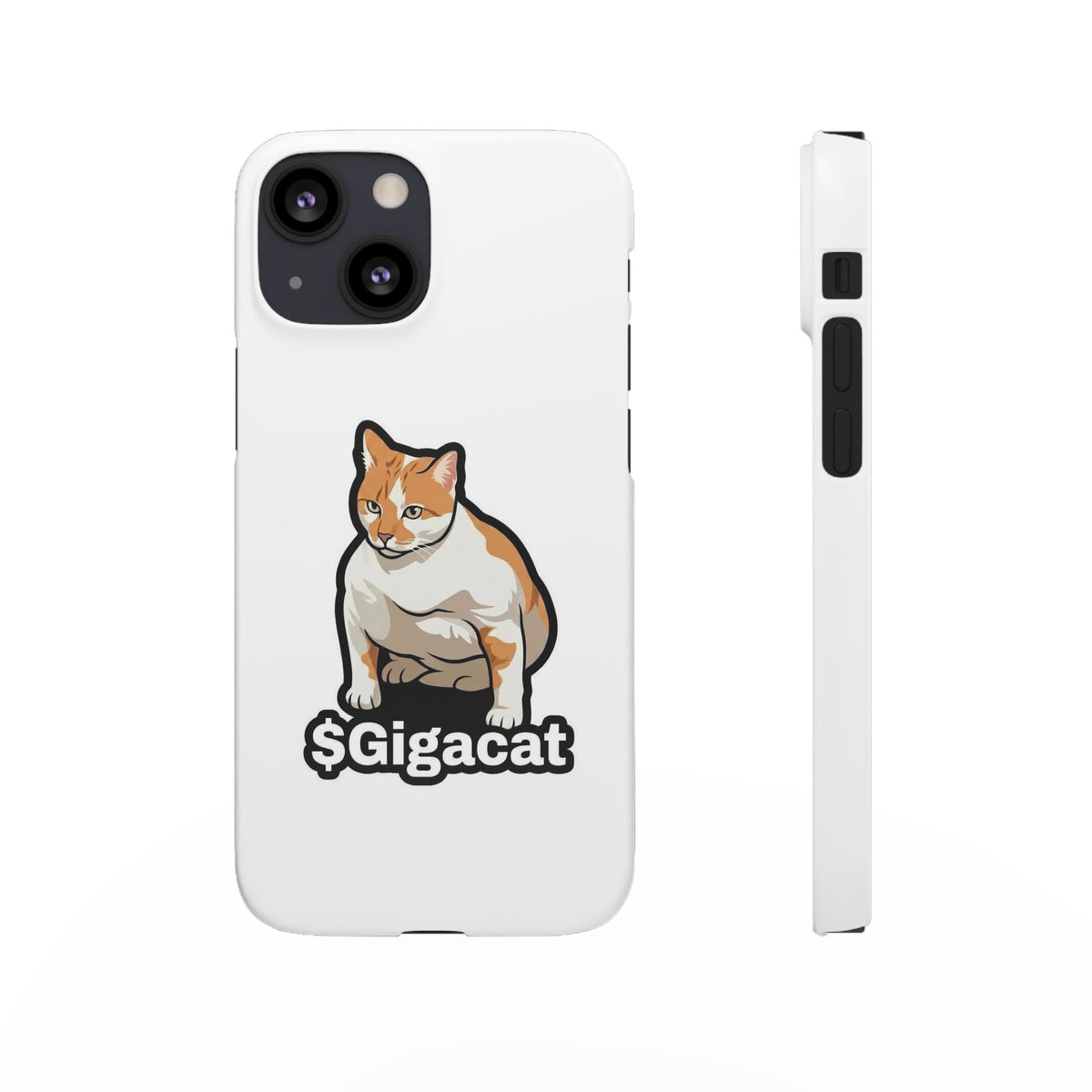 Snap Cases
