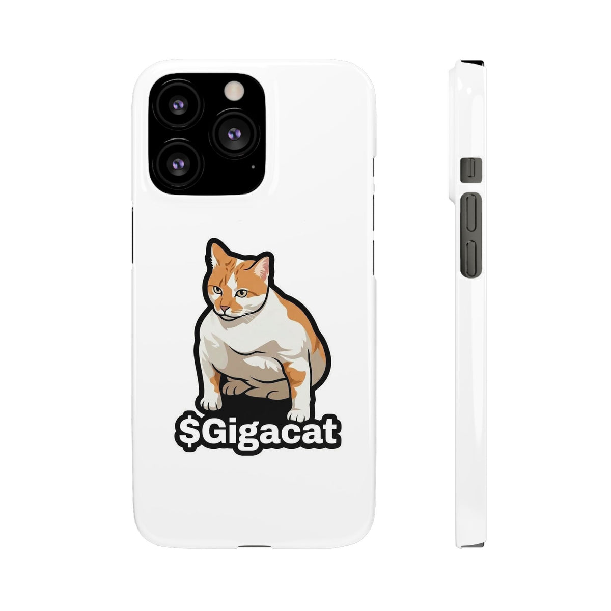 Snap Cases