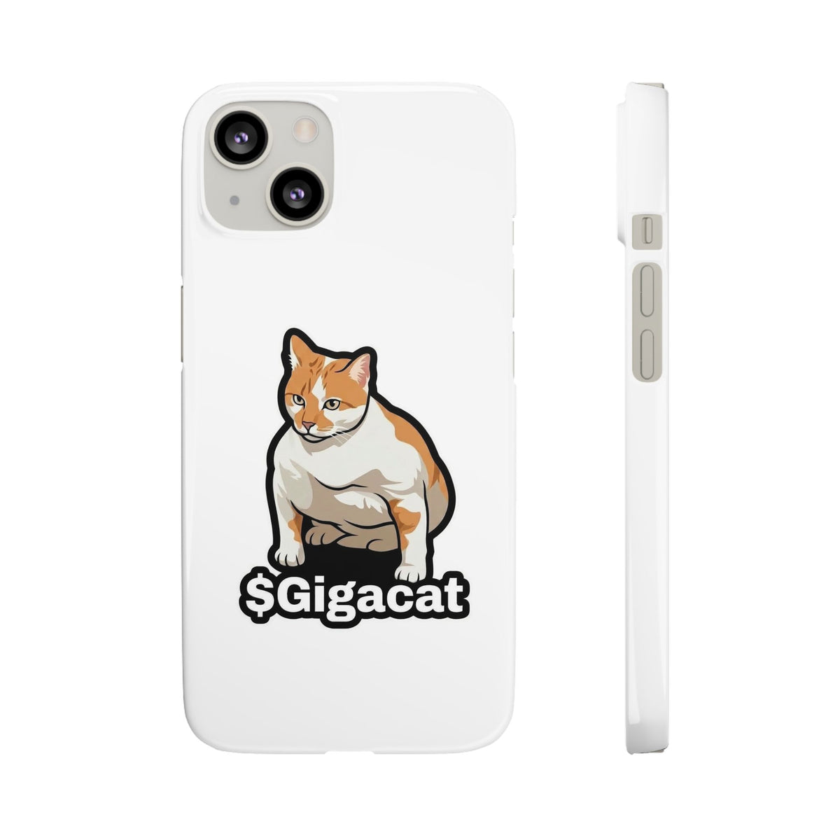 Snap Cases