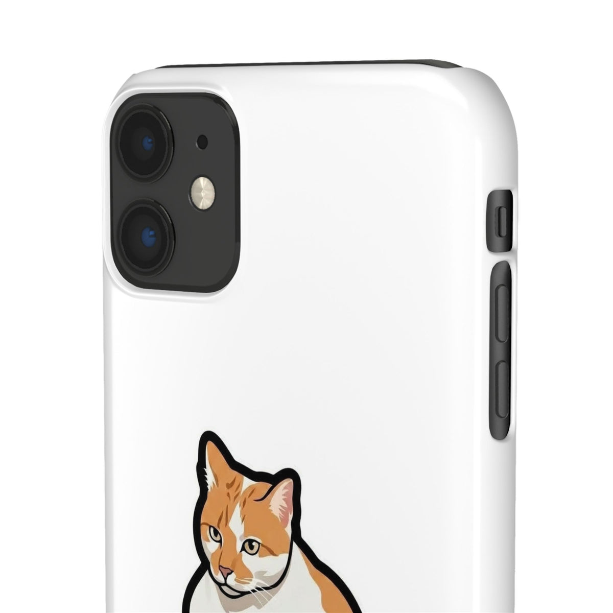 Snap Cases