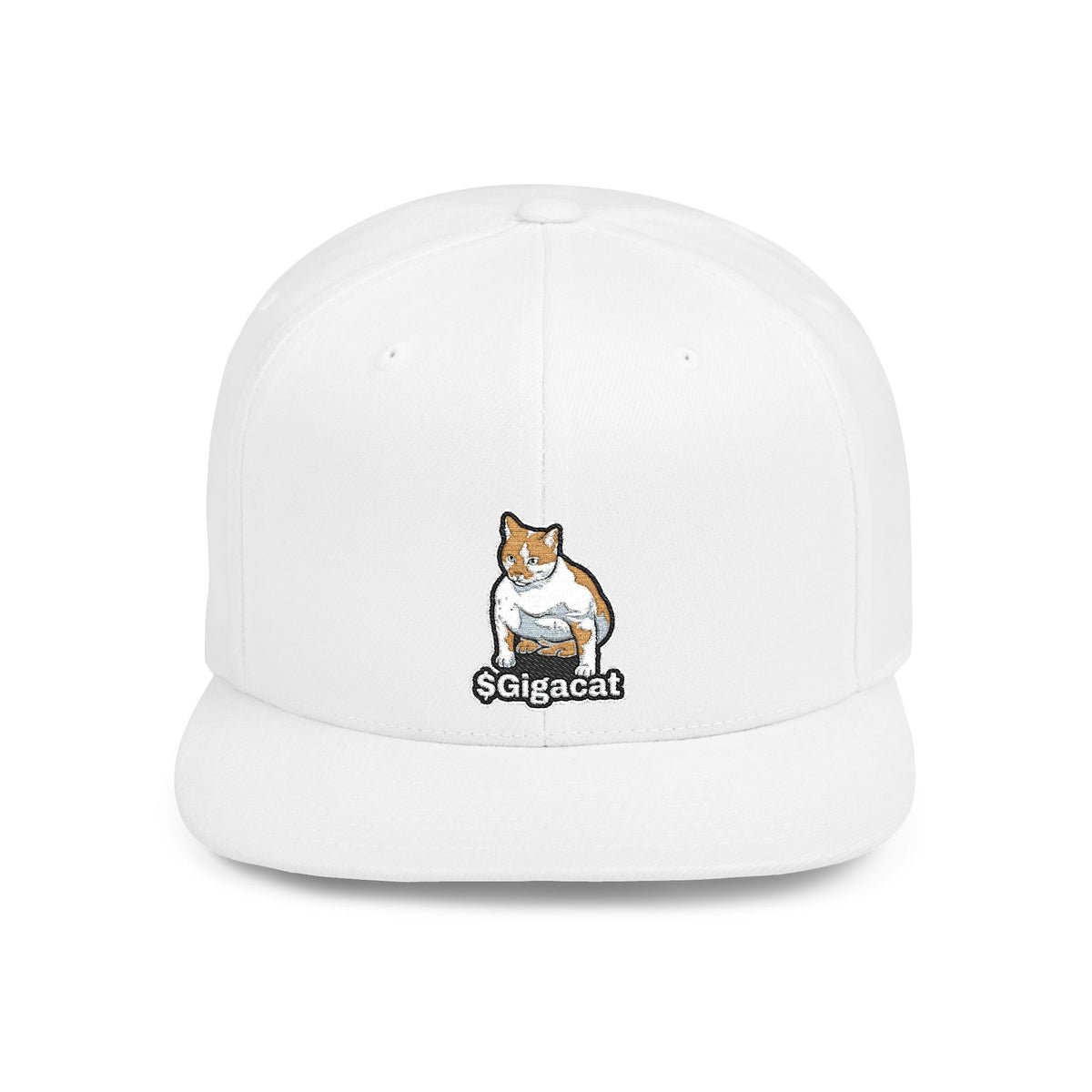 Flat Bill Snapback