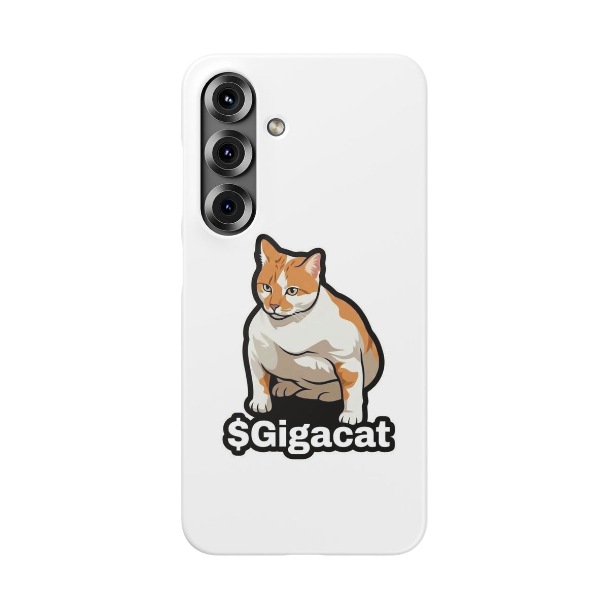 Snap Cases