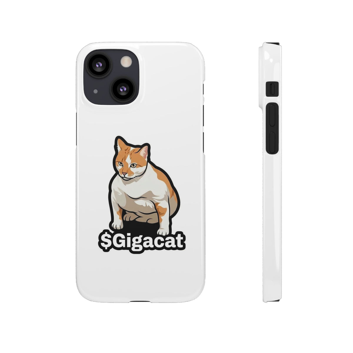 Snap Cases