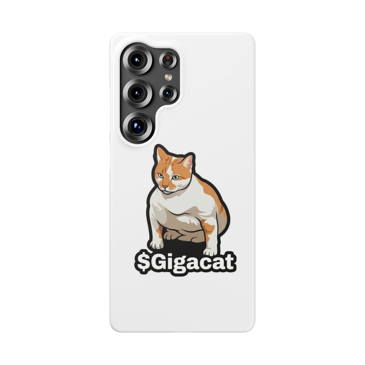 Snap Cases