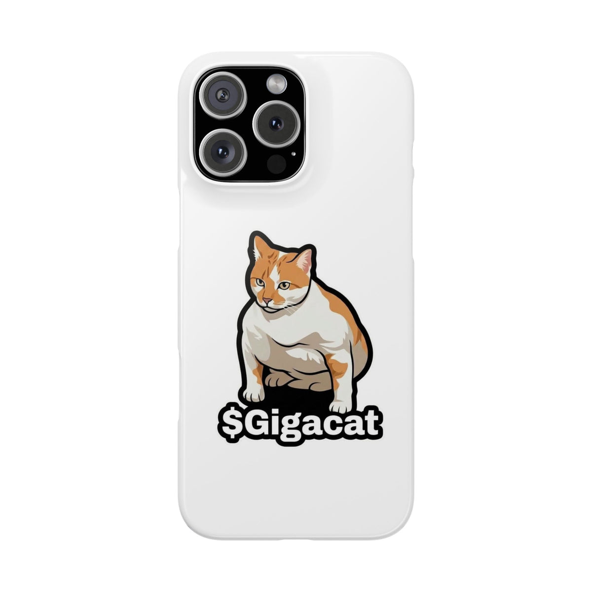 Snap Cases