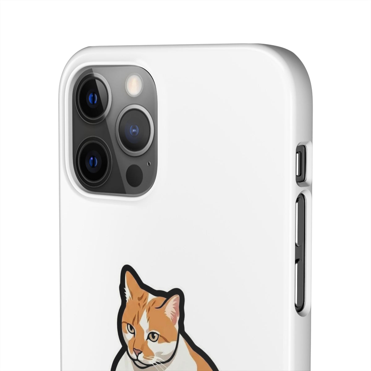 Snap Cases