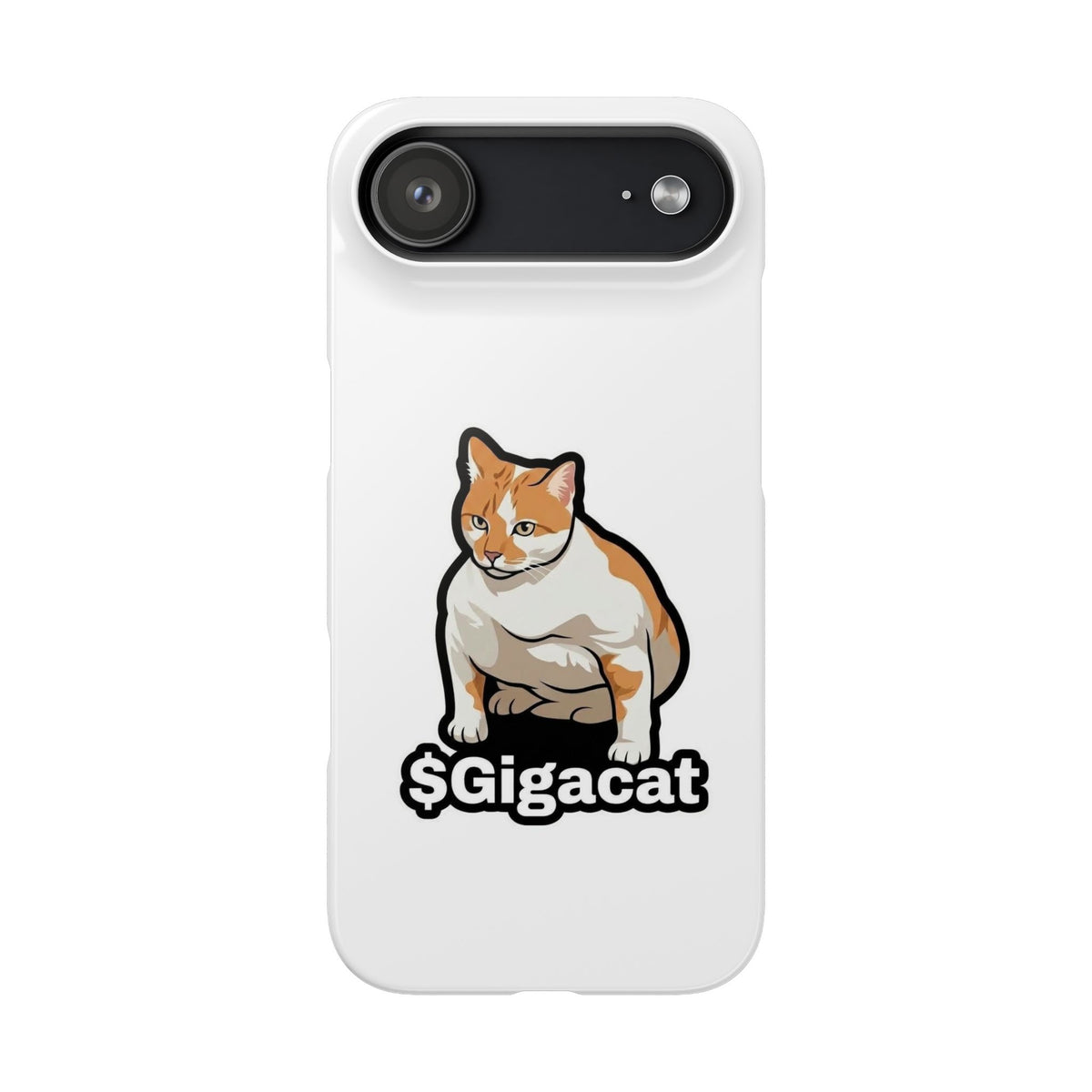 Snap Cases