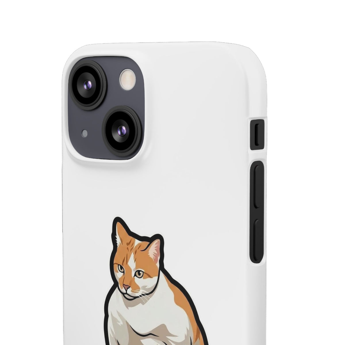 Snap Cases