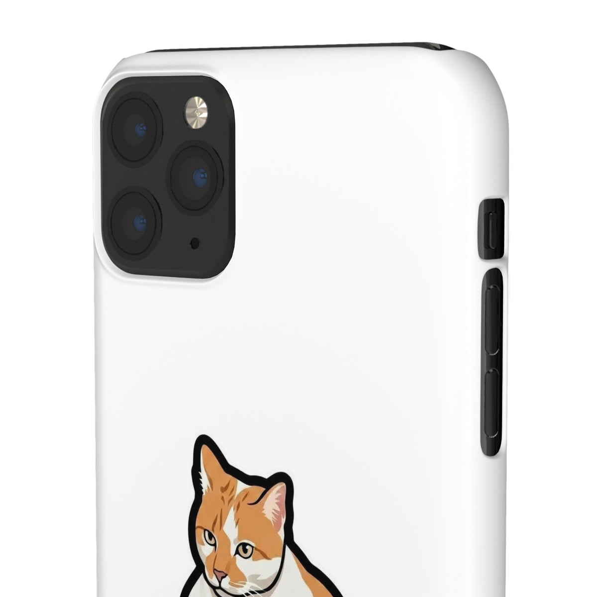 Snap Cases