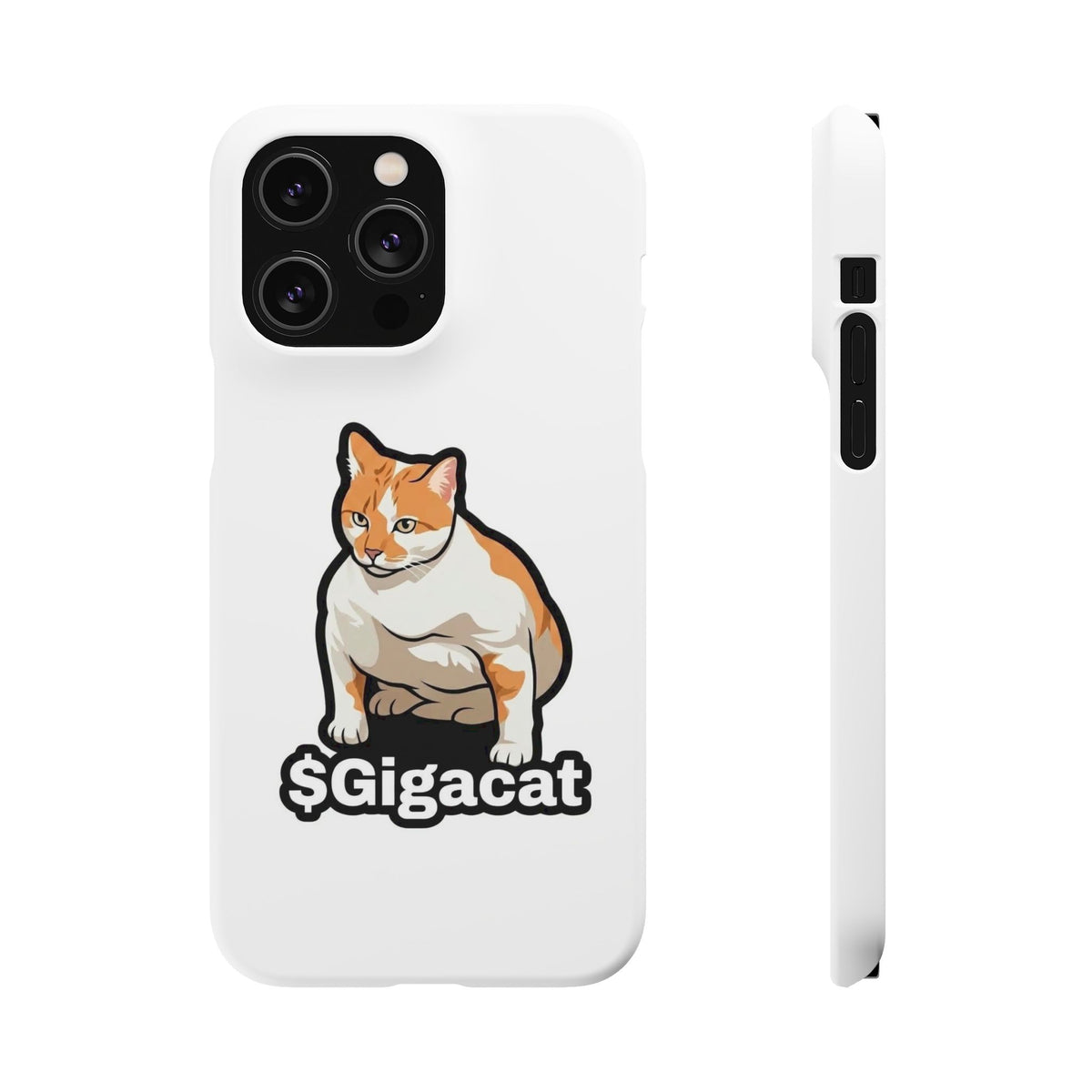 Snap Cases